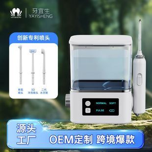 Household Tooth Rinser Plug-In Tooth Cleaner Magnetic Handle Multi-Functional Tooth Cleaner Stepless Pressure Adjustment Water Flosser D1 Mute