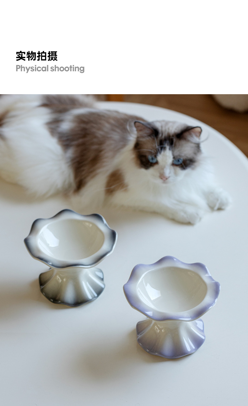 裙摆猫碗_10.jpg