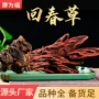 量大各种无碎泡酒料中药材