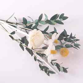 无火香薰棒diy扩香藤条干花客厅摆件永生花ins居装饰插花花束花朵