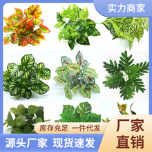 �羳�^�z�G�}�ָз���ֲ��ֲ��ٻ���������~�����~Դ�^�S��