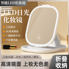 LED化妆镜高颜值宿舍旅行美妆镜可调节折叠收纳便携USB桌面补光镜