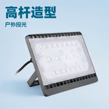 飞利浦BVP172 50W飞利浦投光灯 IP65广告牌泛光灯户外防水探照灯