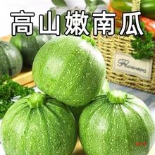 ���r���Ϲ����С�Ϲ�С����Ƥ�Ϲϲ˹ψA����ϾGƤ���ﶬ�aƷ