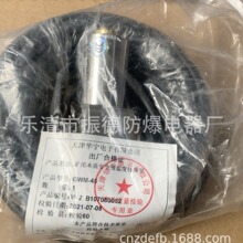 销售天津华宁GWM-45-W-2矿用本质安全型温度传感器-----现货销售