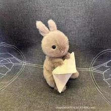 J.C信封兔子毛绒玩偶公仔玩具送儿童女生日礼物可爱兔娃娃