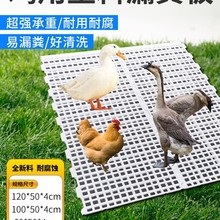 ©�S���u���u�\�u�S��������©�S���BС�u���Z©�S�W�Bֳ�O��