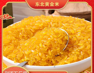 24��|���S��������خa������ճ�����Ŵ���׬Fĥ�ּZ���r���Ԯa