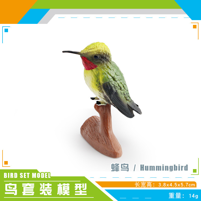 Simulación amazónica de pájaros hummingbirds, colibríes, pájaros, aves, animales, modelos de escritorio, juguetes decorativos estáticos
