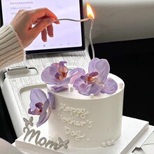 2024ĸ�H��Ψ�������b�ˮ���MOM���Ƌ����Ґ�������m�������