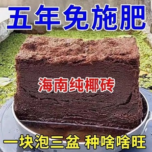 Coconut Brick Nutrient Soil Wholesale for Growing Flowers, Succulents and Green Plants, Special Soil for Growing Vegetables, Factory Direct Sales, Universal Coconut Bran Coconut Soil