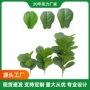 仿真叶子打印拍摄造景