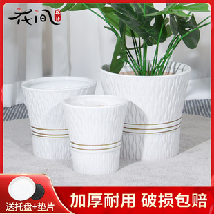 �մɻ��躆�s�p�ݸ�2025�¿�������ԷNֲ�������B����������