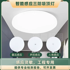 感应开关;吸顶灯;其他室内灯具