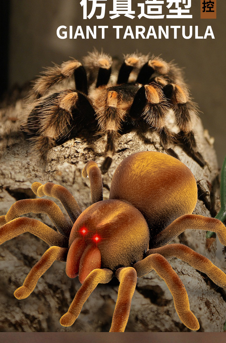 O1CN01zLvvIG1WrgQoPX4Wy_!!2350212842-0-cib.jpg?__r__=1676771732713