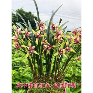 �F�����������m���罨�m�ļ��m С���� ���������҃Ȼ������Ժ��B