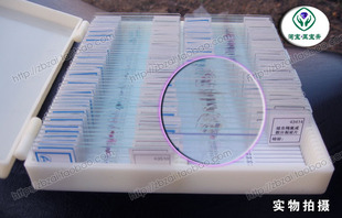 91�N�@΢�R��������Ƭ�˱� ��Ƭ�˱� ���ڮaƷ ľ�� ��Ƭ ���]