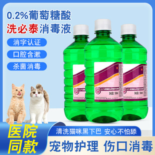 Chlorhexidine Disinfectant Wound Skin and Mucous Membrane Sterilization and Disinfection Pet Cat Black Chin Cleansing Mouthwash Solution
