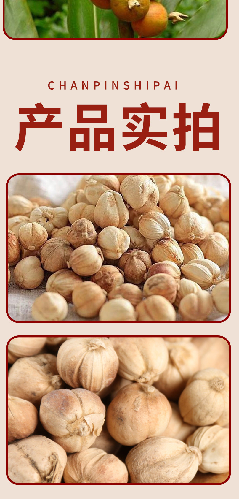 Bai Dou Kou (Amomum kravanh) — Dried White Cardamom for Hotpot, Braises & Herbal Cooking specifications