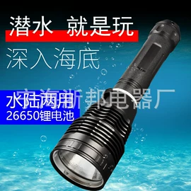 手电筒;头灯头戴电筒;野营/露营灯