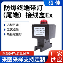 防爆终端带灯尾端接线盒Ex电伴热带灯尾端接线盒