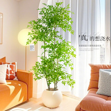 ������Gֲ�p���҃ȴ���������Կ͏d�b[�������ٻ������l