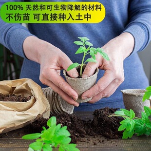 ���趨ֲ���������B���缈�{��ɽ���I�B������S��ֱ�N���N
