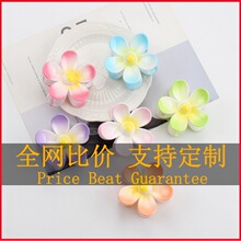 �¿��ɫ��껨ץ�A�����P�l���~�A�ȼ��L�����Rβ�A�羳�l����l