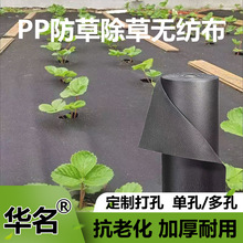 ��׷��ݲ�  ��ɫPP���ϻ����ݲ�͸��͸ˮ�ز����@�r�ßo����