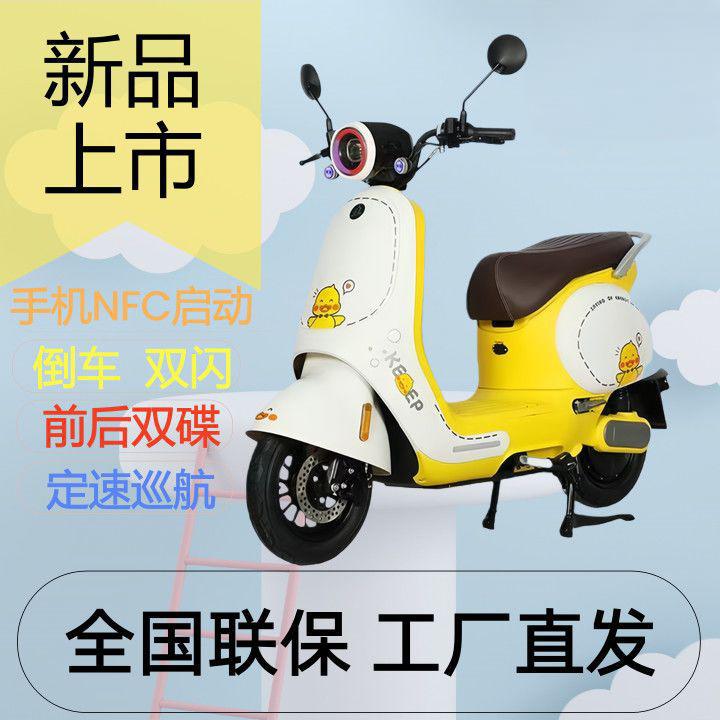 Electric Motorcycle Scooter