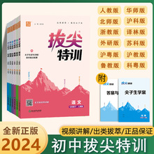 24新版通城学典初中拔尖特训七八九年级下册数学英语物理化学语文