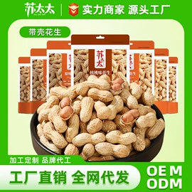 花生;豆类零食;瓜子