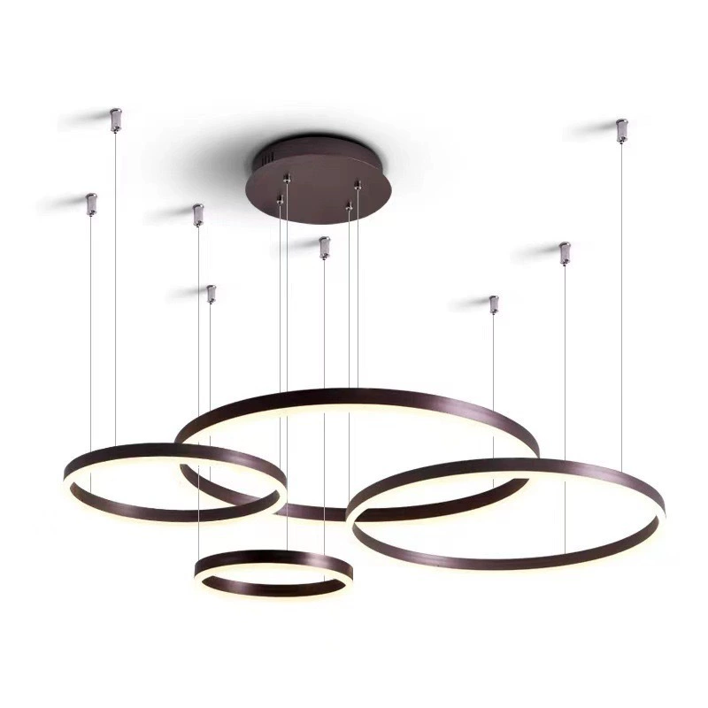 Minimalistic Ring Ceiling Lamp, Modern Living Room LED, Lightweight Aluminum, 40–100 cm