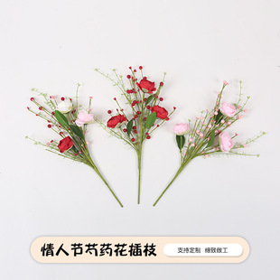 �羳�������˹���ș����֦�¾Gֲ�ٻ��~�[���L���JȔ���h��c�b�