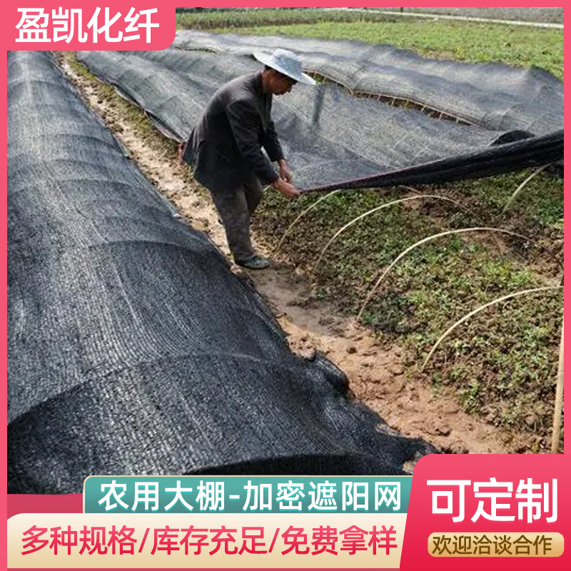 农业隔热网 黑网阳台太阳网树根网加密果园农用遮光网 大棚防晒网|ms