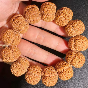 �Ჴ������������ִ��M��ᘿ׷���5�걬���p��÷����ʿ�����ӷ�