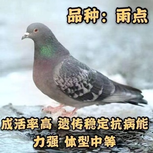 ���ӻ���һ���N���ӻ��w�������B�������c�������y��������