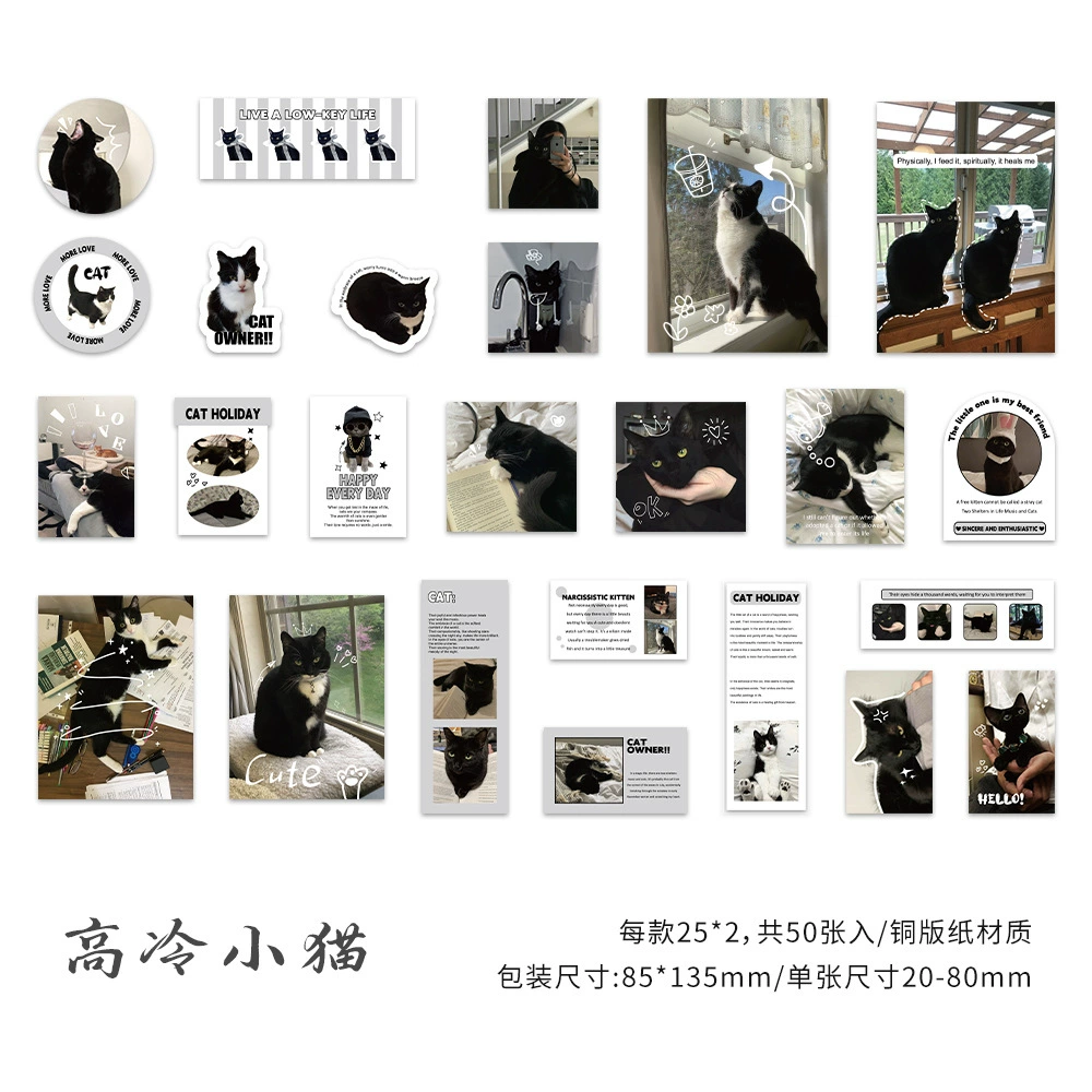 Крупная новая сумка-раскраска Xinqi Wang Meow милый сезонный пакет для питомца, водонепроницаемая декоративная ручная книга DIY водяной стакан водостойкие советы