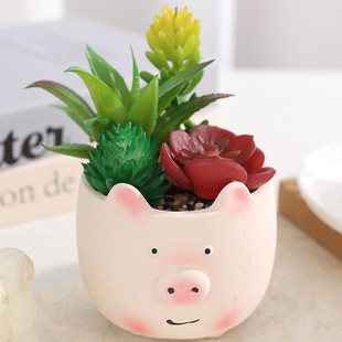 �羳����ɐ�С�i���ͷ���������� �����b[�� ��ͨ��֬��ˇƷ