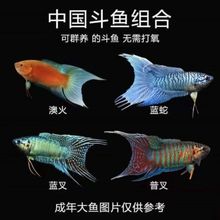 �Ї����~���~�w���ղ�β��ˮ��ˮ��Ƥ�����_С���^�p�~���ͻ���B