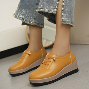 �羳��a�¸���ЬŮ2026�괺���¿����m�p��r�г������eЬСƤЬ