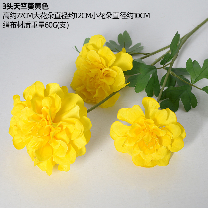 Pelargonium amarillo