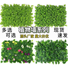 ����Gֲ��ֲ����b��������͏d�ٲ�Ƥ�҃����쾰�Gֲ��ƴ��