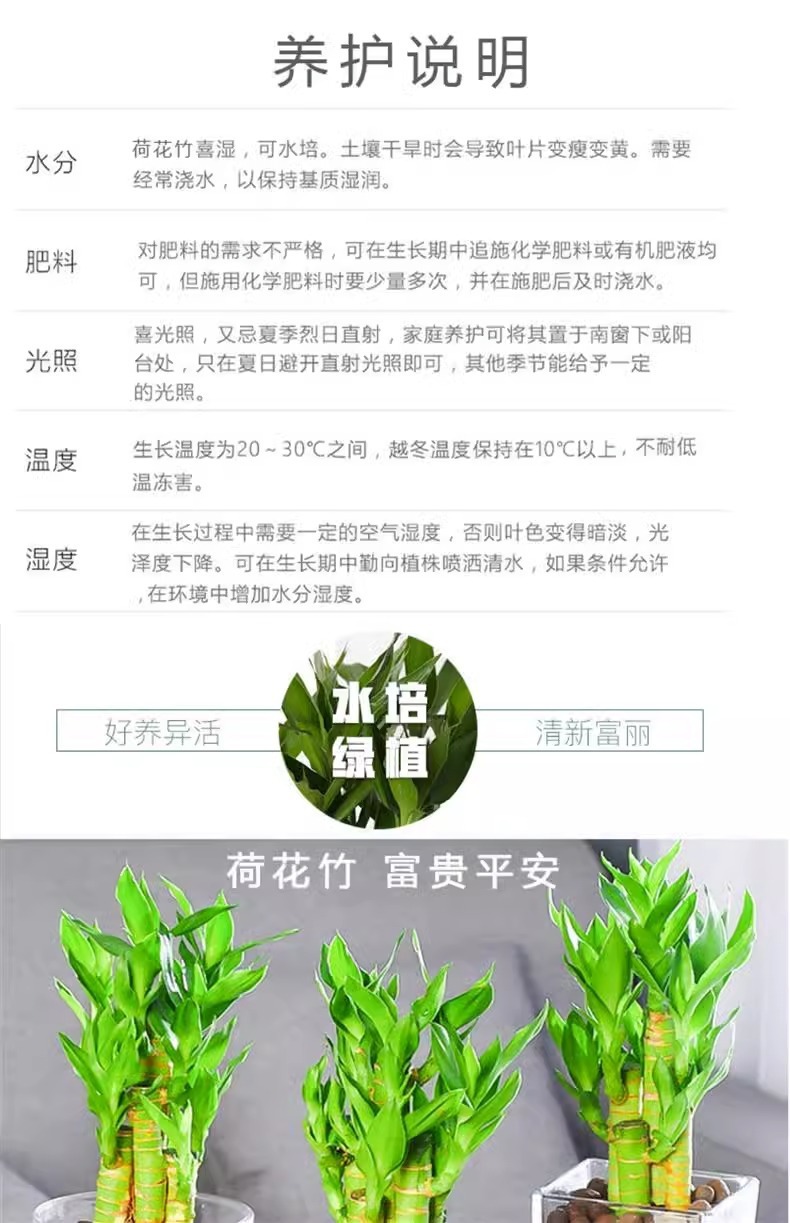 ca31f0fc-d6cb-4e2f-a06c-6947f7ba32c1.jpe