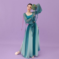 2023 Butterfly Transparent Chiffon Cardigan Dress Dance Costume Set Light Fresh Pink and Green Classical Dance Costume