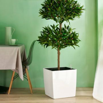 Suministro directo de fábrica automática de absorción de agua maceta extra grande pintura cuadrada sala de estar planta verde automática de absorción de agua maceta al por mayor