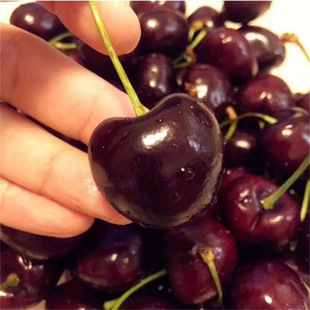 ���_˹8̖�t���޽ә���܇���Ә������Ե����ϱ����Nֲ����Y����