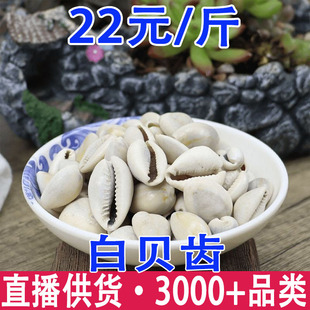 ��ؐ�X��ؐ��ؐ�X��ؐ��ؐ���������X��֧�����l���l