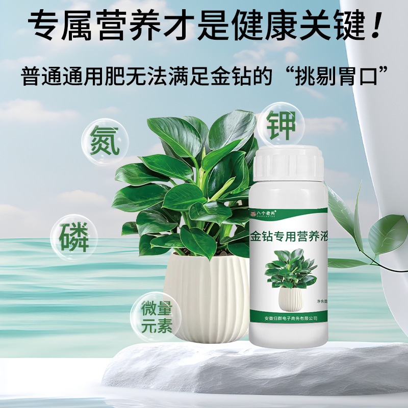 厂家直销金钻植物专用营养液促生长防黄叶水培土培家庭通用批发|undefined
