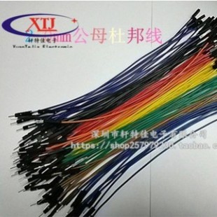 �Ű ����ĸ����ĸĸ��ĸ/10/20/30CM��ɫ�ž�2.54�g�� �B�Ӿ�